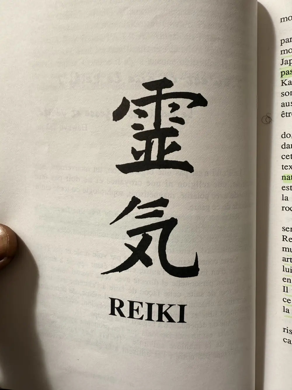 🔥 Les 5 Règles de Vie du Reiki : Le Code Sacré de la Souveraineté
