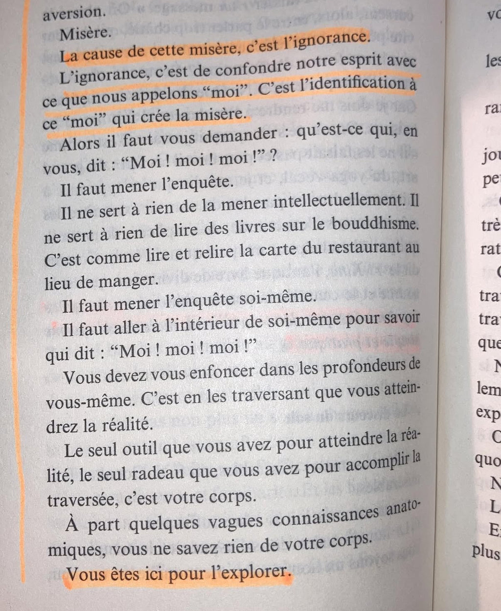 Yoga - Emmanuel Carrère
